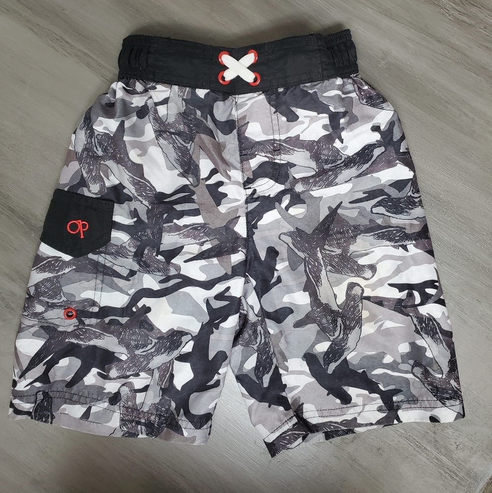 Little Boy's Swimsuit